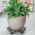 Rund plantekasse, stor planterulle - 30 cm - brun - 