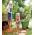 Tuinkruiwagen EASY GO BREEZE - 50 l - groen - 