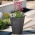 Jardinera cuadrada alta - PIAZZA SQUARE - 35 cm - gris granito - 