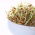 Spiring frø - ung bygg - 