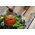 Campuran tumbuhan liar - 250 g - 