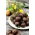 Cseresznye Paradicsom - Black cherry - fekete - 60 magok - Lycopersicon esculentum Mill