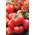 Tomato "Bruno F1" - nicely coloured, Baron-type variety for greenhouse cultivation