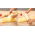 Machine à ravioli, moule - DELÍCIA - pour 10 raviolis carrés - 