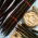 Black salsify "Hoffmanns Schwarze Pfahl"; Salsify Sepanyol, tanaman tiram hitam, akar ular, ramuan ular, rumput ular, scorzonera - 