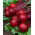 Red beetroot Borus