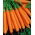 Morot Fama F1 - medium tidig sort - 