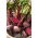 Red beetroot Egyptian - flattened, discus shaped roots - SEED TAPE WITH HYDROGEL