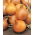 Onion Supra - BENIH TAPE - 
