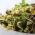 Zaden ontkiemen met een kleine spruit - Winter Energy Mix - 
