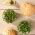 Microgreens - Rutabaga, swede - young uniquely tasting leaves - 1 kg