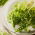 Microgreens - Sugar pea - foglie giovani dal gusto unico - 250 grammi - 