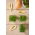 Microgreens - Rachetă, rucola - frunze tinere cu gust unic - 1 kg - 