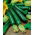 Zucchini Partenon F1 – Samen