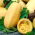 Spaghetti squash Spaghetti de legume - 