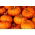 Ornamental Squash - Sweetie Pie - Miniature Halloween Pumpkins - Fresh Seeds