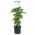 Vaso per coltivazione del pomodoro con paletti - Tomato Grower - ø 29,5 cm - 