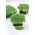 Microgreens - Alfalfa - Jeunes feuilles au goût unique - 1 kg - 