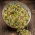 Sprouting seeds with a small sprouter - Micronutrients' Mix