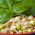Germinación de semillas con un germinador grande - Savory Mix - 