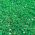 Trifoi alb cu frunze mici „Abercrest” - 0,5 kg - 