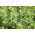 Erba medica &#39;Felsy&#39; - 1 kg - 