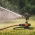 Pulsierender Sprinkler auf Stativbasis, Ein/Aus - FISKARS - 