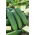 Cucumber 'Marieta F1' - 100 grams - professional seeds for everyone
