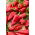 Pepper 'Beja F1' - 100 seeds - professional seeds for everyone