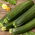 Zucchine 'Terminator F1' - 100 grammi - semi professionali per tutti; zucchine - 