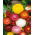 Siempreviva - variada - Helichrysum bracteatum - Flores brillantes, ideales para ramos secos - Semillas frescas
