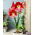 "Flamenco Queen" Hippeastrum, amarilis