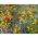 Bee Friendly - o selecție de plante melifere - 5 kg - 