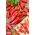 Turbo raudonoji aitrioji paprika, skirta auginti lauke - 