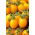 Koliber tomato - a yellow field cocktail variety