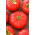 Tomate Runner F1 - variété de serre rouge foncé, pour les producteurs exigeants - 