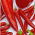 Hot pepper variety mix