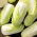 Pacifiko F1 BIO napa cabbage - early variety - certified organic seeds