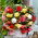 Begonia profumata - mix di colori - 2 pz
