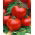Honey Moon F1 tomato - an early raspberry greenhouse variety - professional seeds for everyone