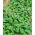 Spinach Giant Winter benih - Spinacia oleracea - 800 biji - Spinacia oleracea L.