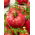 Tomate - Malinowy Olbrzym - Tomates dodues et juteuses, géantes pleines de saveur - Graines fraîches