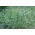 Ballica perenne "Fancy" - 5 kg - 