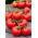 Tomate 'Lubań' - rote Freilandtomate, bei der der Grünkragen nicht vorkommt