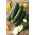 Zucchini "Tristan F1"; Zucchini - 