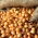 Taze soğan - sarı - 10 kg; yeşil soğan - 