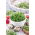 Sprouting seeds - Cress - Zesty Superfood Boost in Just Days - Fresh Seeds