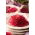 Graines à germer - Betterave Rouge - 100 g - Pousses détoxifiantes et riches en nutriments - Graines fraîches