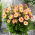 Dália - Dahlia - Pacific Ocean - Nagy csomag - 10 db