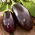 Aubergine - Black Beauty - Deep Purple Harvest for Grilling - Fresh Seeds